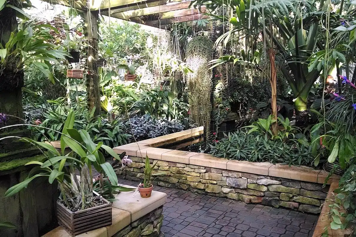 Lush tropical plants and orchids along stone-walled beds inside the Atlanta Botanical Garden conservatory.