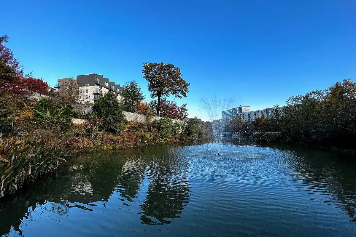 The pond and fountain of Historic Fourth Ward Park beside the Beltline, with autumn plantings under a clear sky.