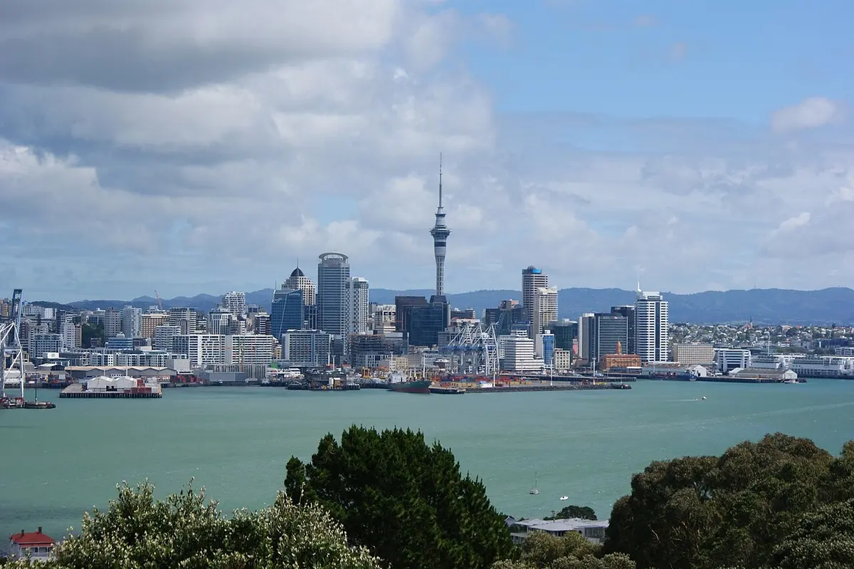 Auckland's downtown towers and the Sky Tower seen from a hilltop