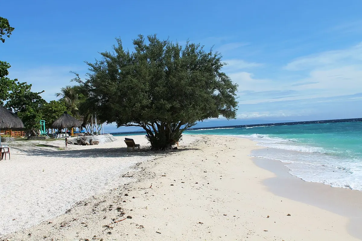 White sand beach and sea on Balicasag Island
