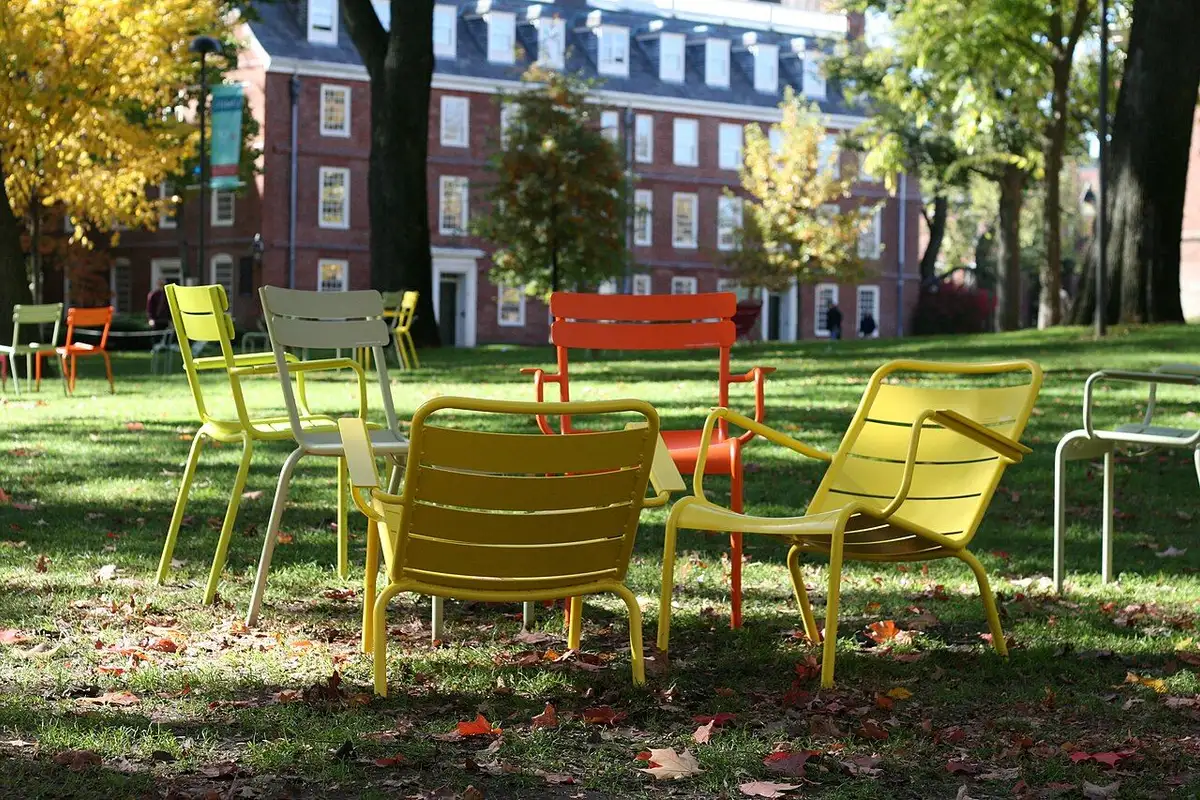 Colorful chairs on the leaf-strewn lawn of Harvard Yard in autumn, with a red-brick building behind.
