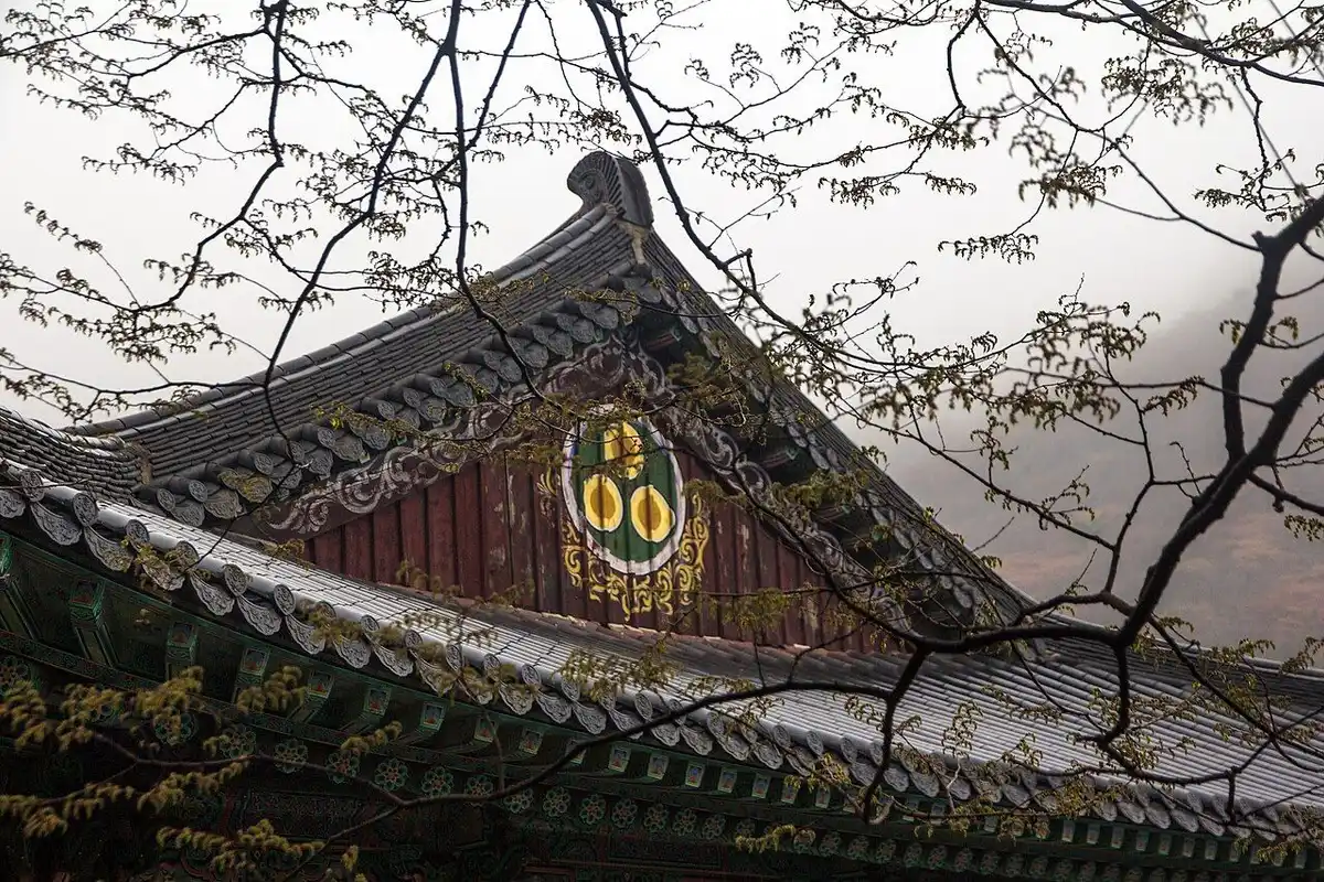 The tiled roof of a Beomeosa hall seen through bare branches, with a misty mountain behind.
