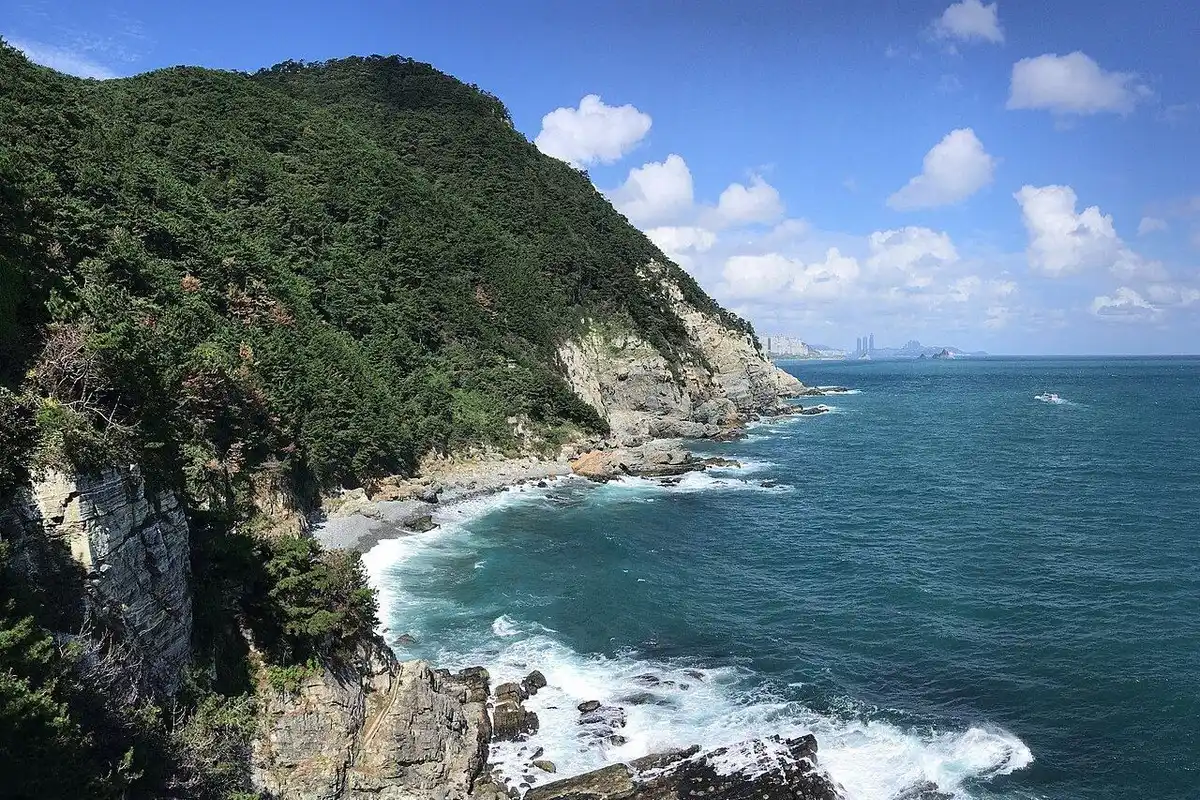 Forested slopes at Taejongdae drop steeply into the sea, with white waves breaking on the rocky shore.