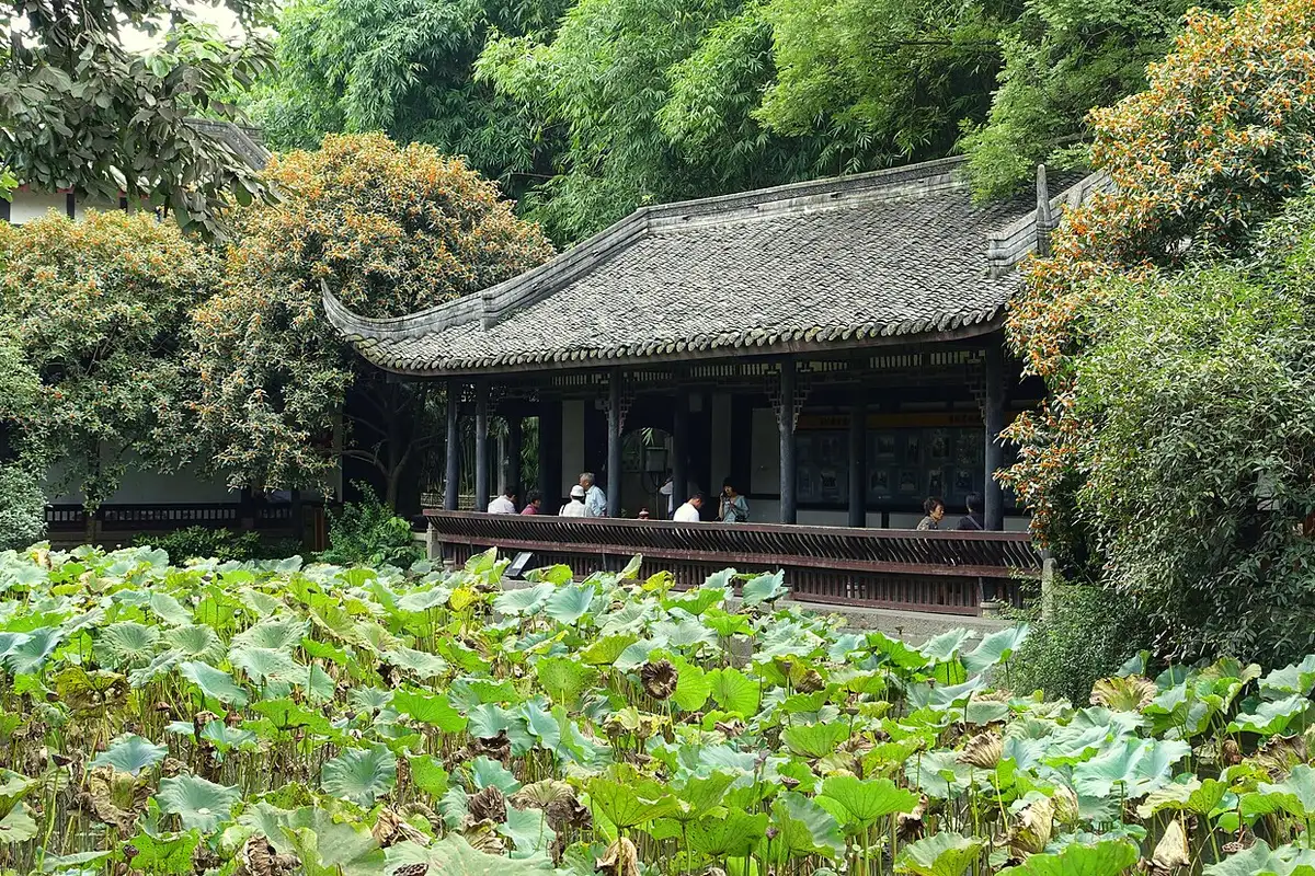A pavilion at the Wuhou Shrine among trees, beyond a pond full of lotus leaves.