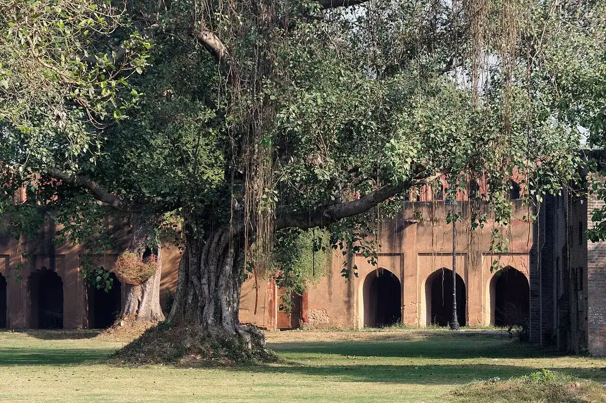 Red sandstone walls and buildings of the Red Fort in Delhi.
