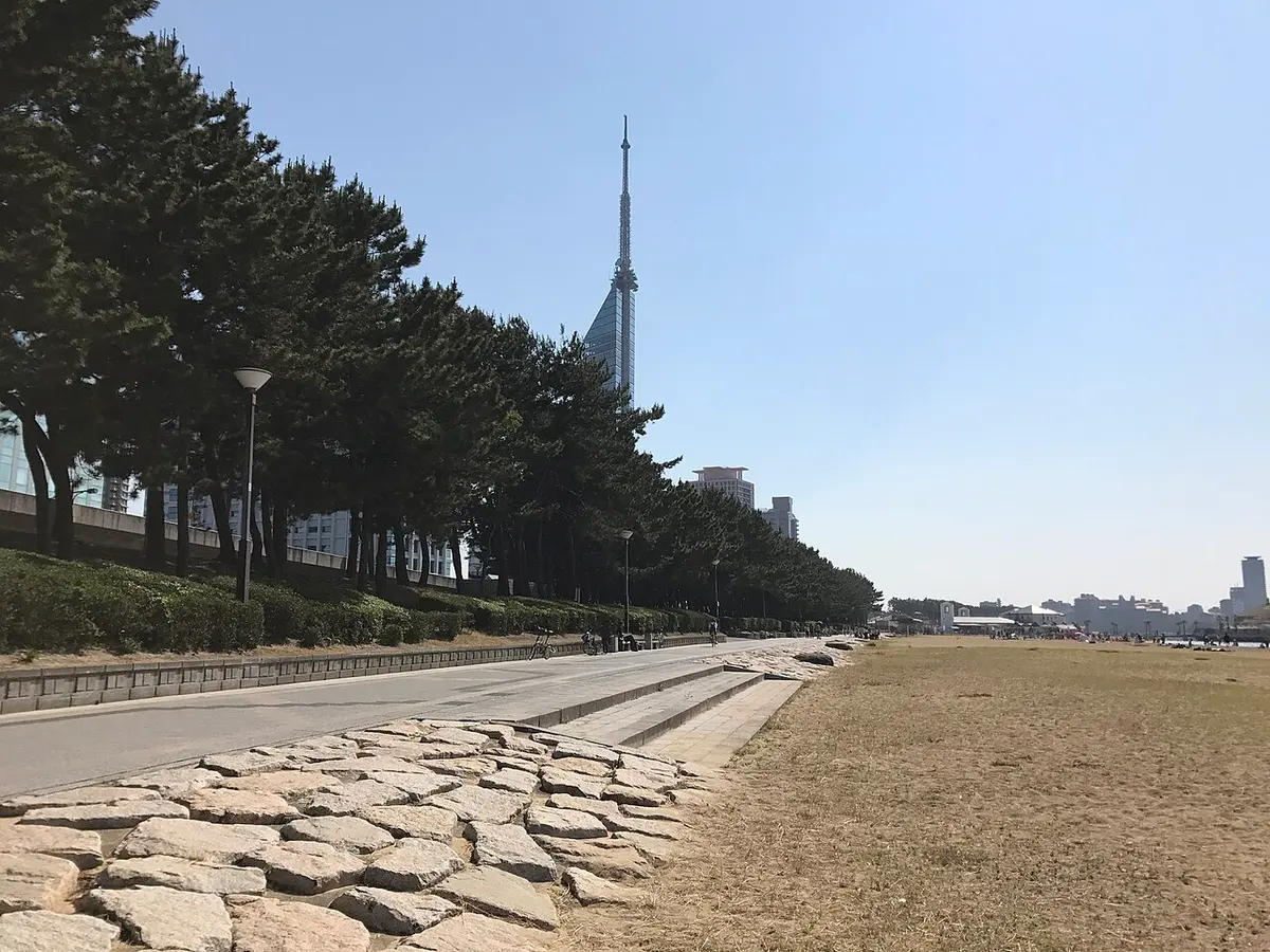 Fukuoka Tower seen beyond pine trees from the beach at Seaside Momochi.