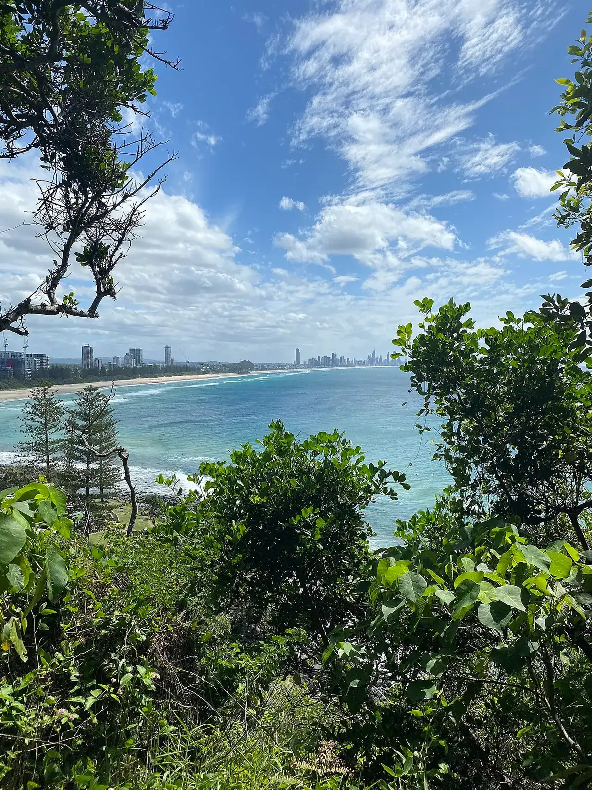 View north along the coast from Burleigh Head National Park