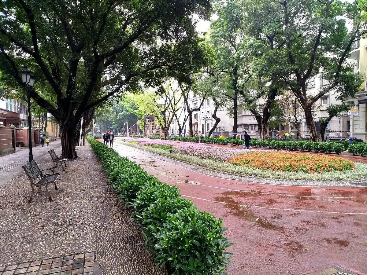 The central garden on Shamian Island with old trees and European-style buildings.