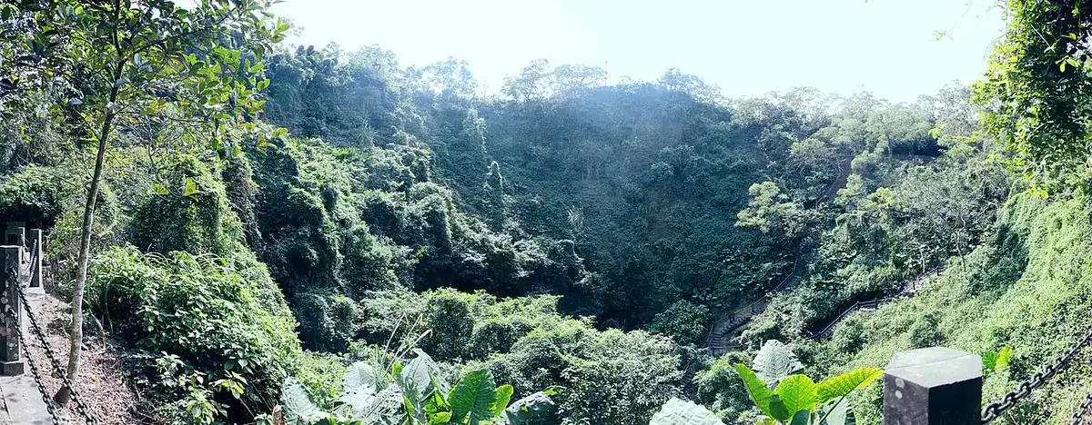 The forested volcanic crater at the Haikou geopark