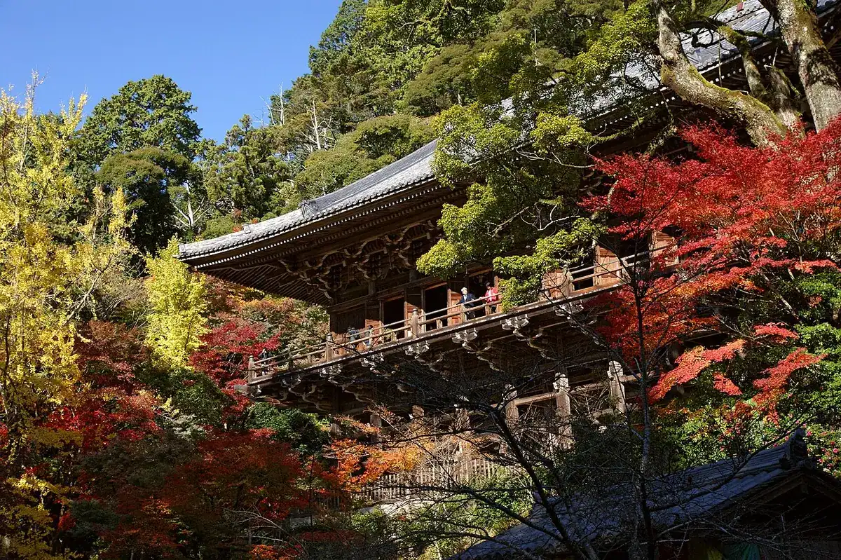 The Maniden hall of Engyo-ji on Mt. Shosha, a wooden hall on pillars surrounded by autumn leaves.