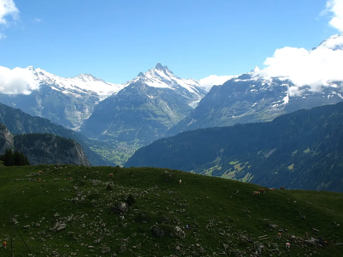 The Lütschine valley and Alpine peaks including the Eiger, seen from Schynige Platte