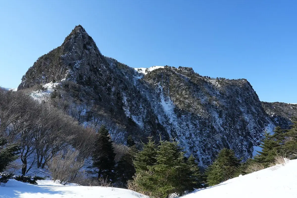 The snow-streaked rock peak of Samgakbong with Korean firs under a clear blue winter sky.
