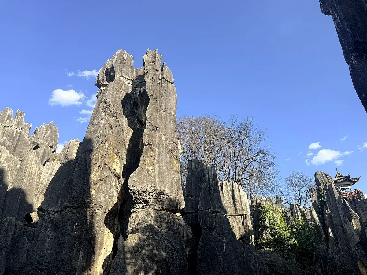 Dense gray limestone pillars rising in the Stone Forest Scenic Area, Yunnan.