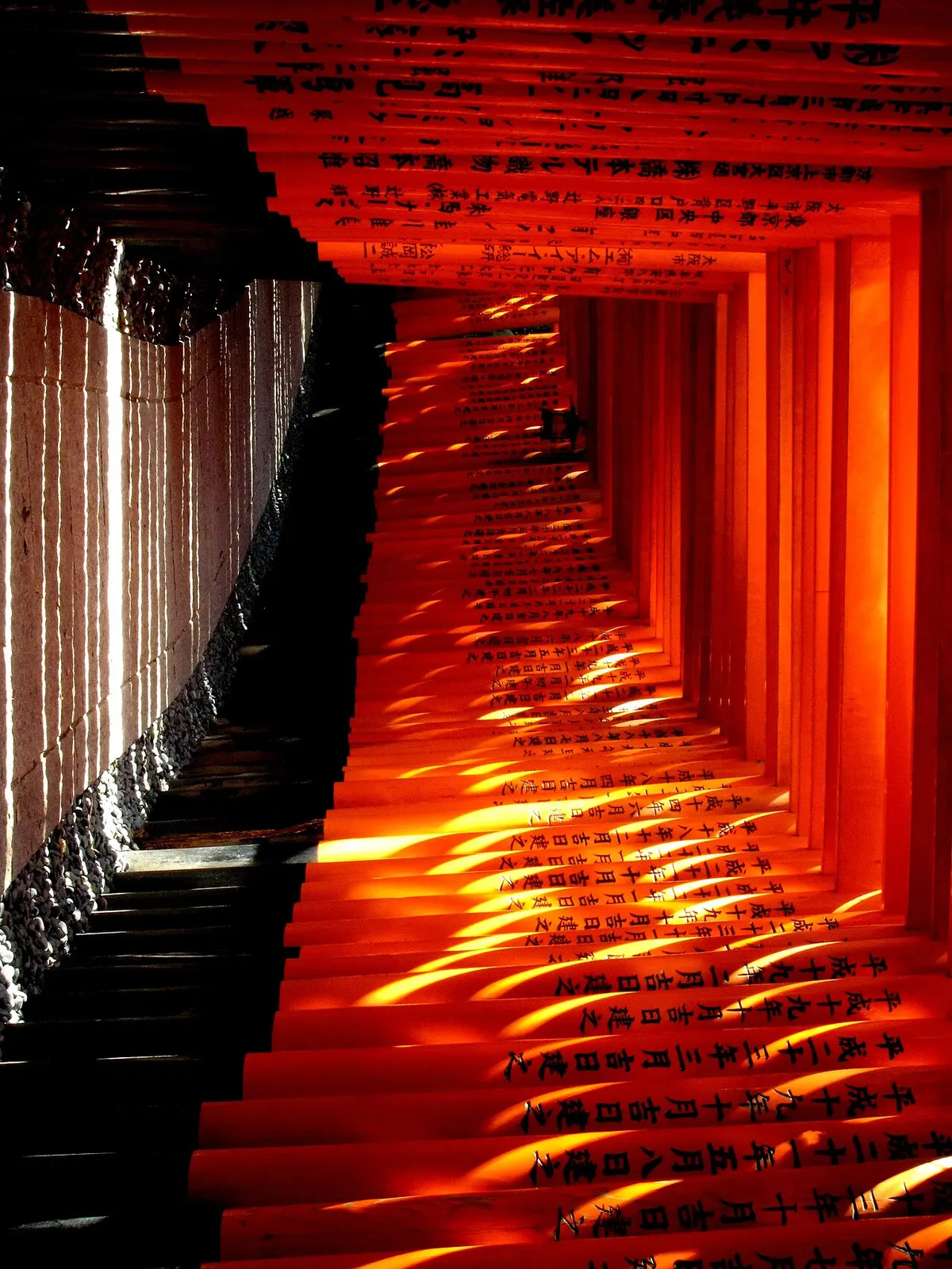 Hundreds of vermilion torii gates forming a tunnel along the Senbon Torii path