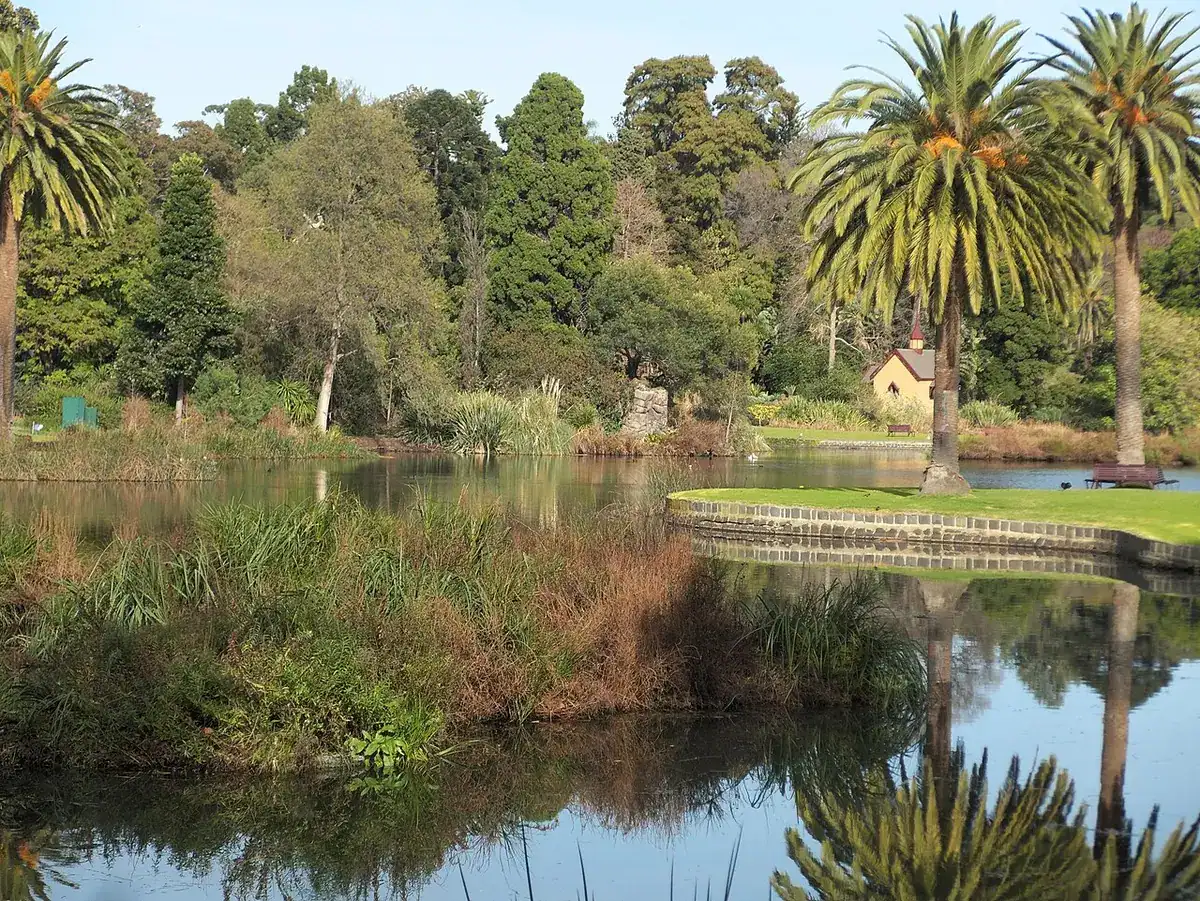 A lake surrounded by trees in Melbourne's Royal Botanic Gardens