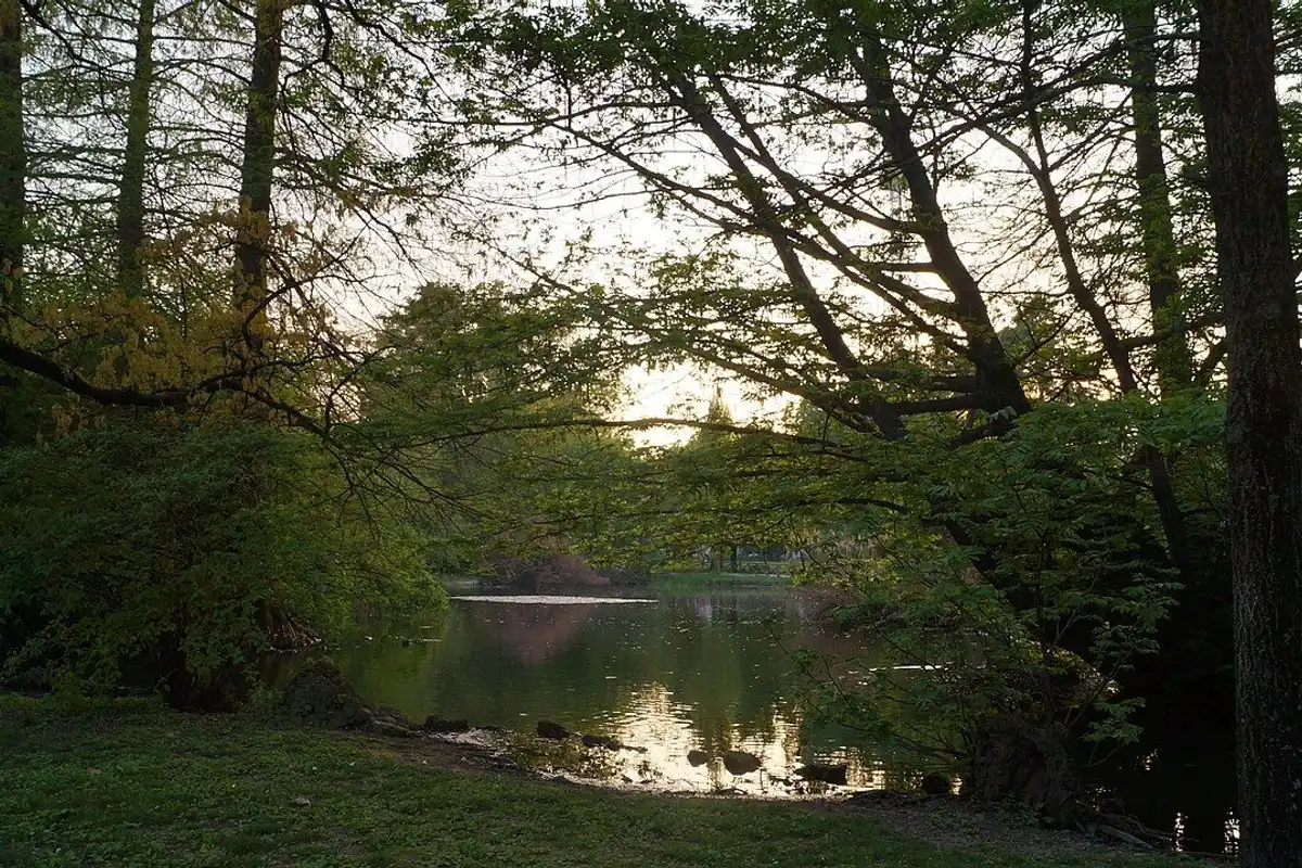 The pond in Parco Sempione at sunset in spring, framed by fresh green trees.