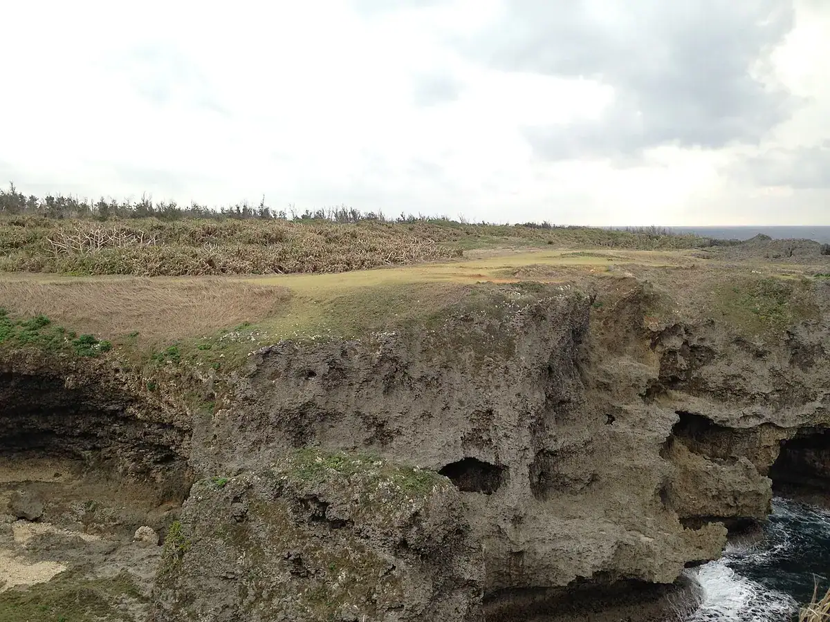 The limestone cliff of Cape Manzamo above the sea, with pandanus trees.