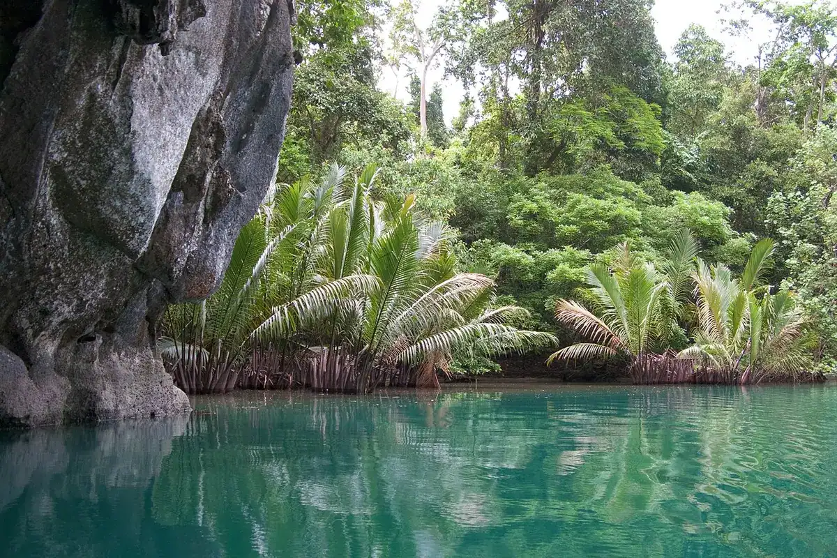 Emerald water framed by limestone cliffs and palms