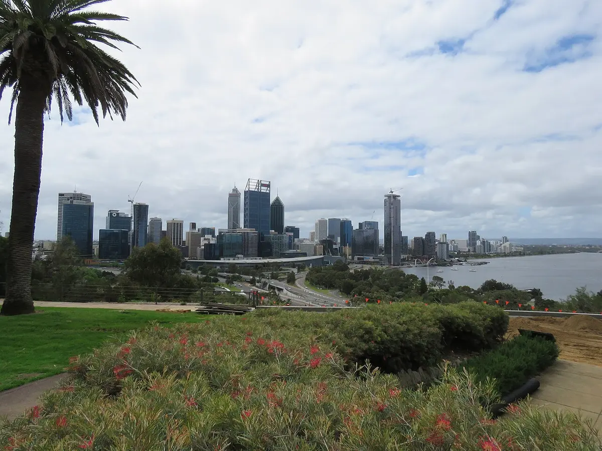 Perth's city-centre towers seen from the hill of Kings Park