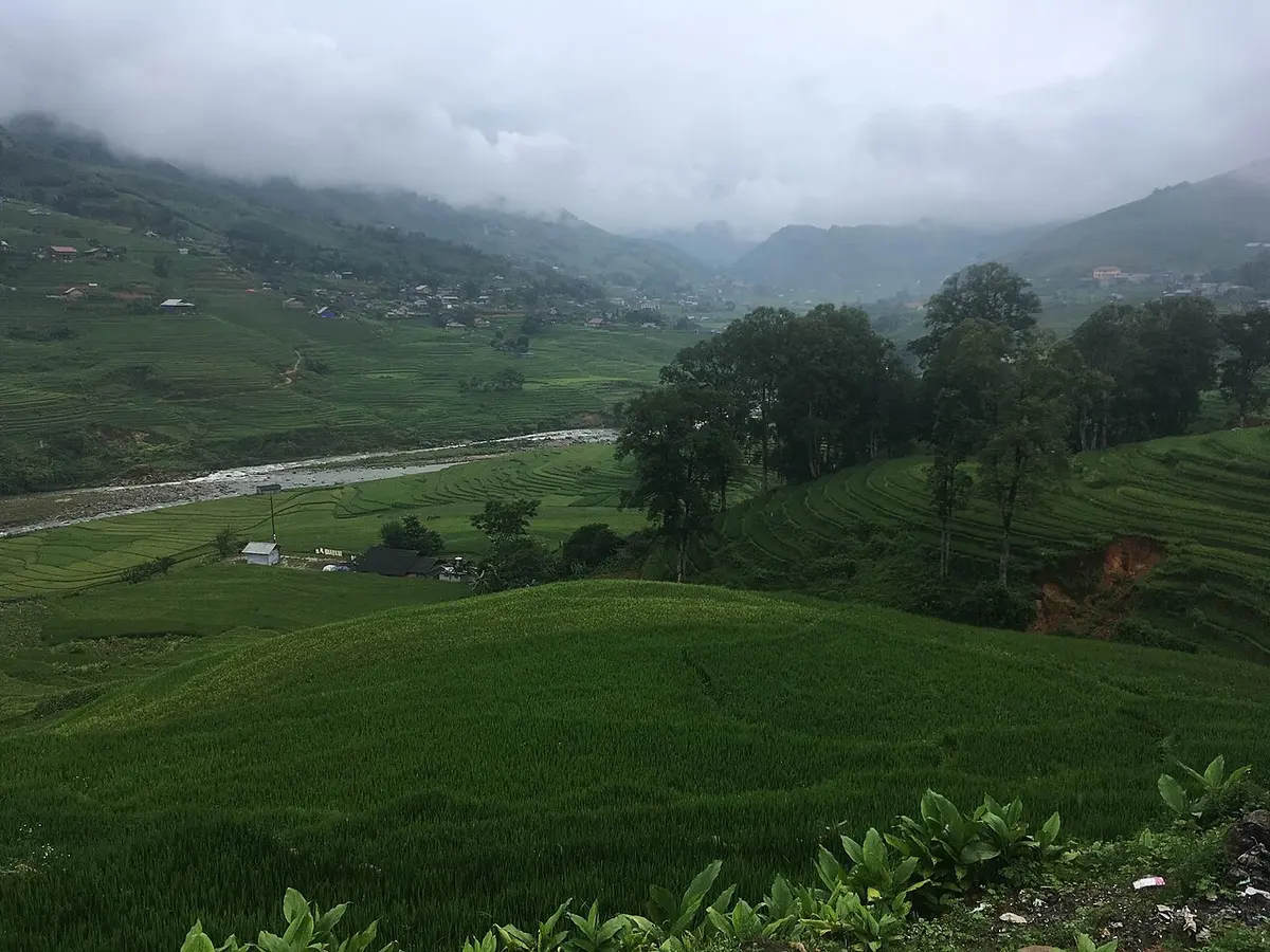 Rice terraces on both sides of the Muong Hoa River