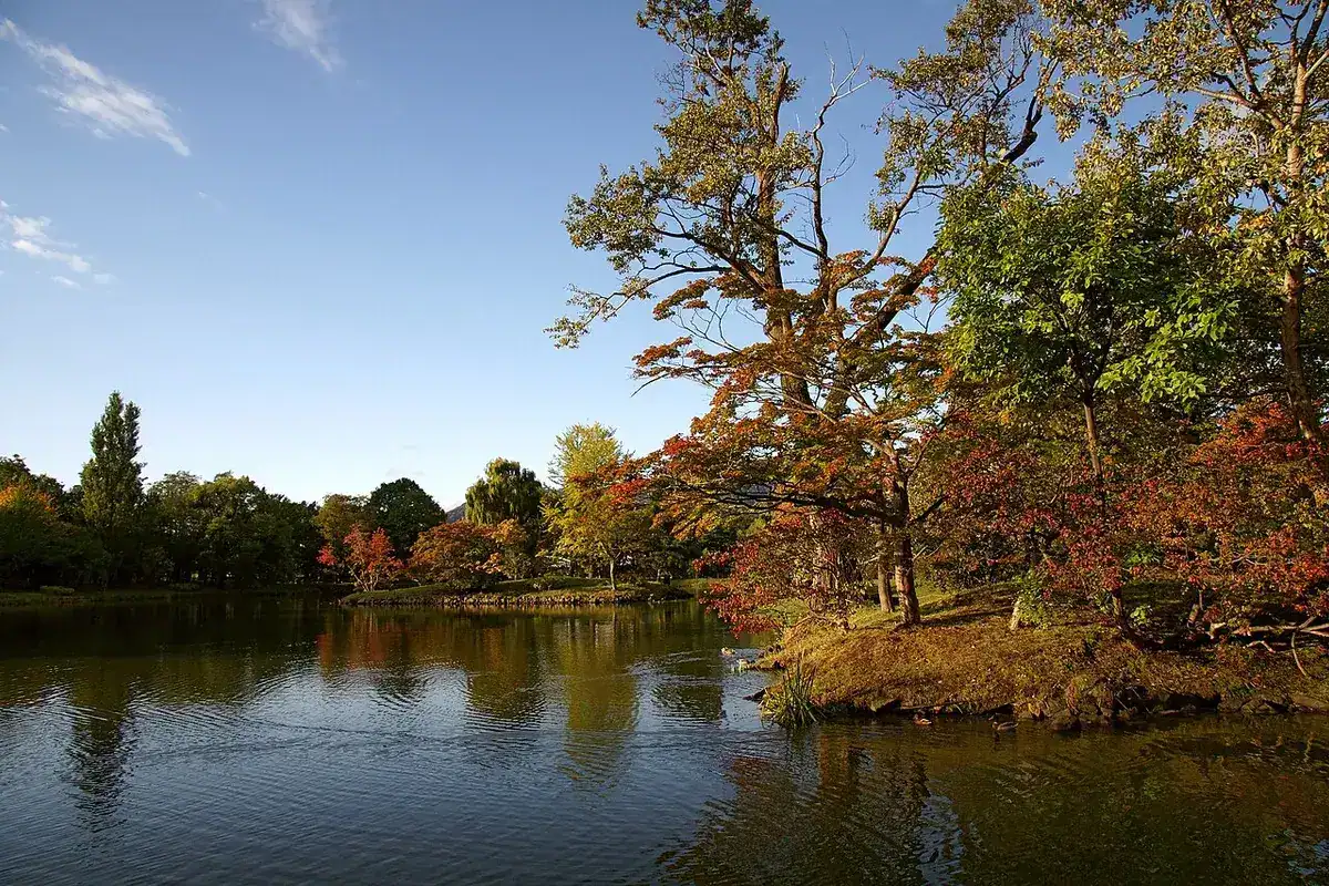 Trees turning yellow and red around the pond in Sapporo's Nakajima Park in autumn.