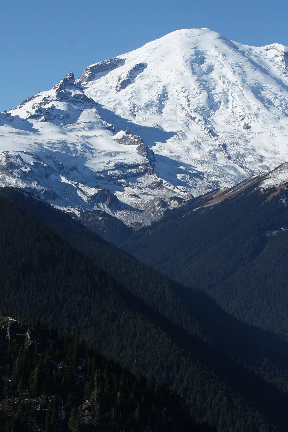 Mount Rainier's glacier-covered summit above a forested valley