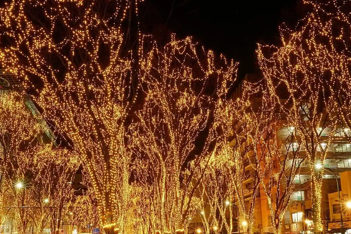 Zelkova trees covered in warm lights along Jozenji-dori on a winter night.
