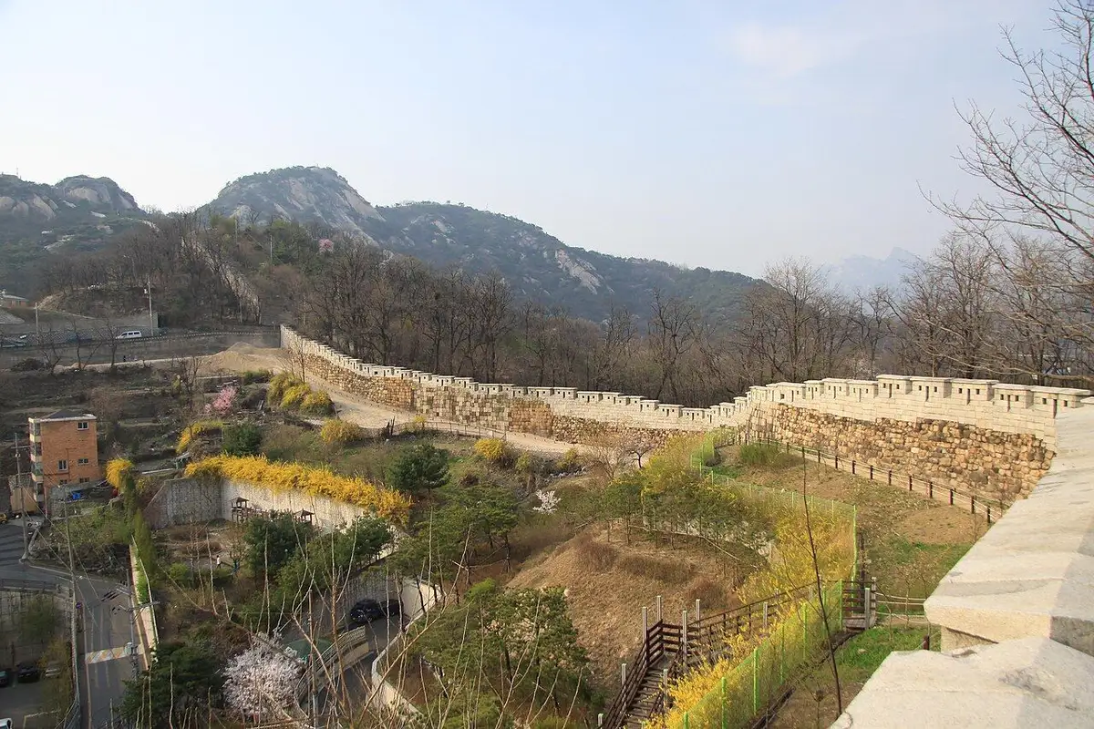 The old city wall winding along a hillside of forsythia below Inwangsan's rocky peaks.