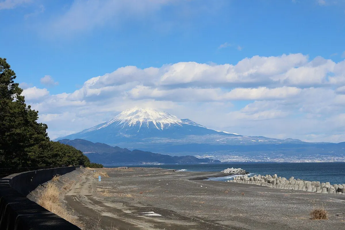 Snow-capped Mt Fuji seen beyond the Miho coast, with pine trees lining the left side.