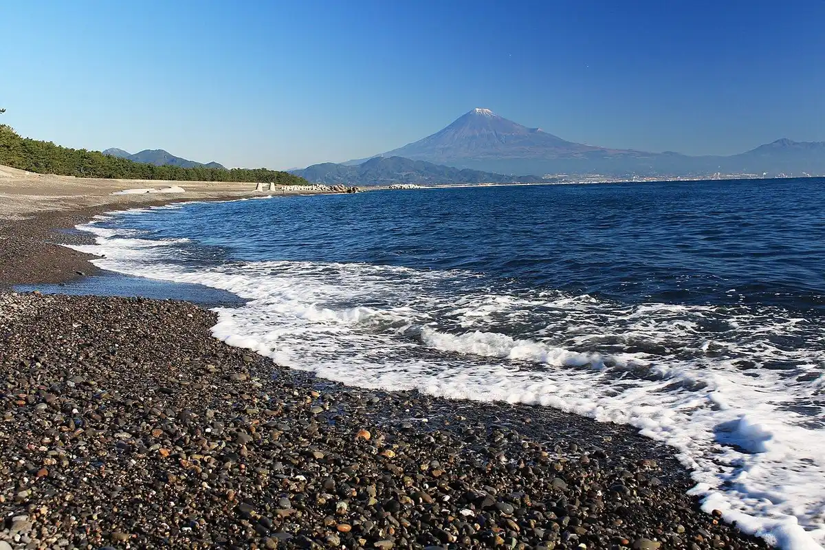 Waves on the pebble beach of Miho no Matsubara, with pine woods and Mt Fuji beyond.