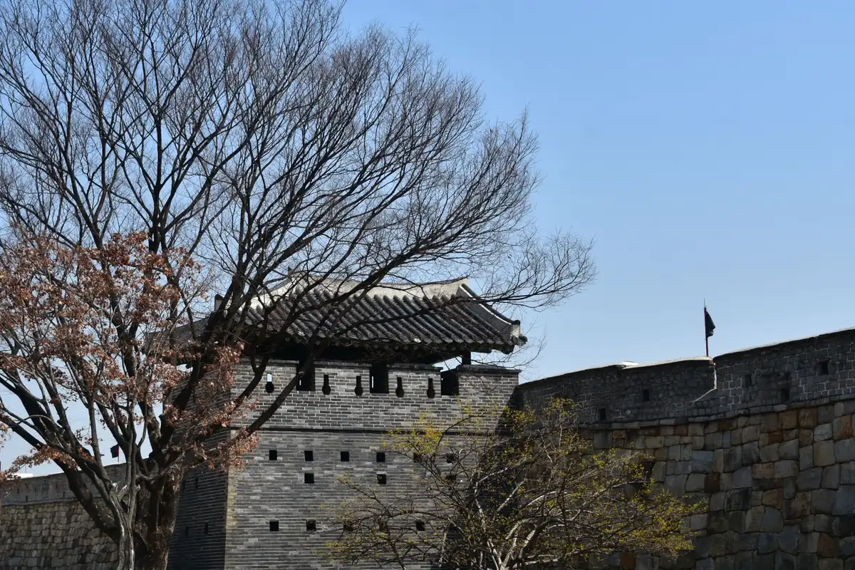 A brick watchtower with a tiled roof and the stone wall of Hwaseong Fortress stand behind a large tree.