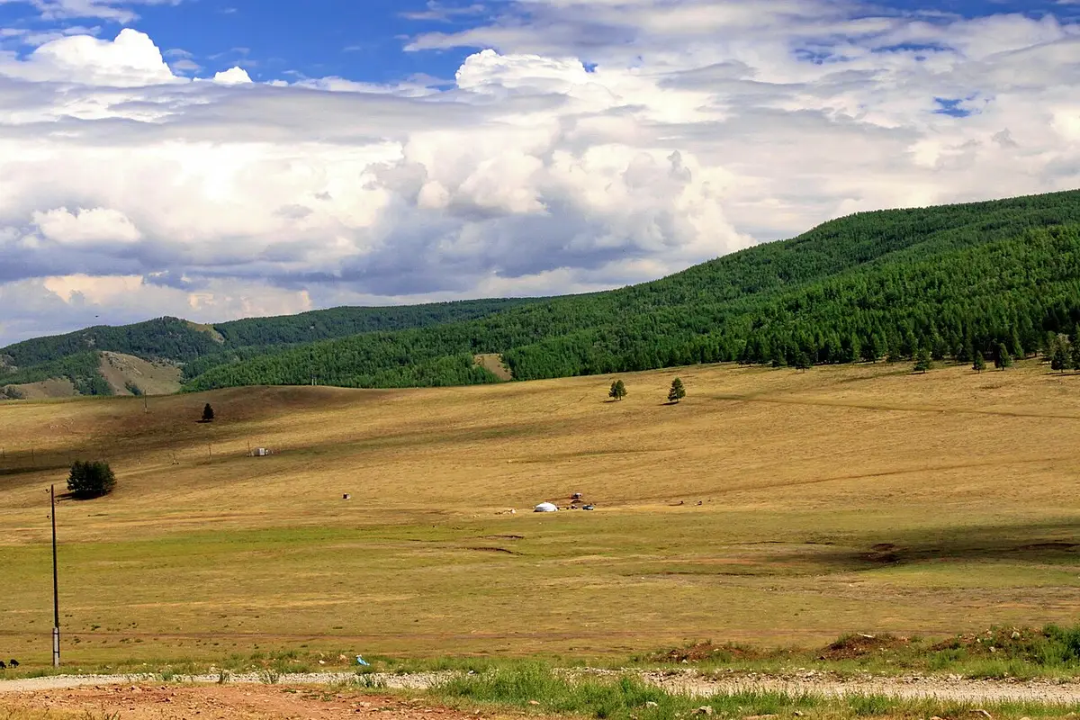 Wide grassland and forested hills under puffy clouds in Gorkhi-Terelj National Park.