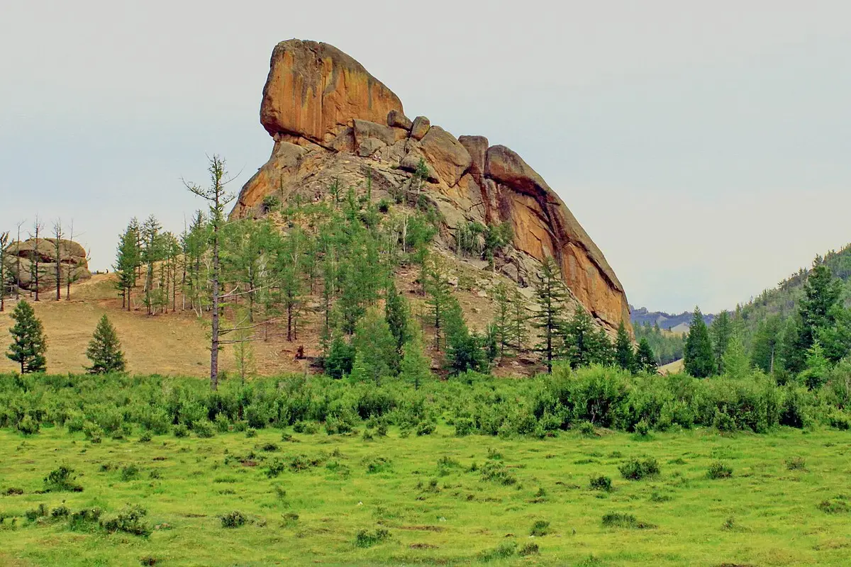 Turtle Rock rising beyond green grass and trees in Gorkhi-Terelj National Park.