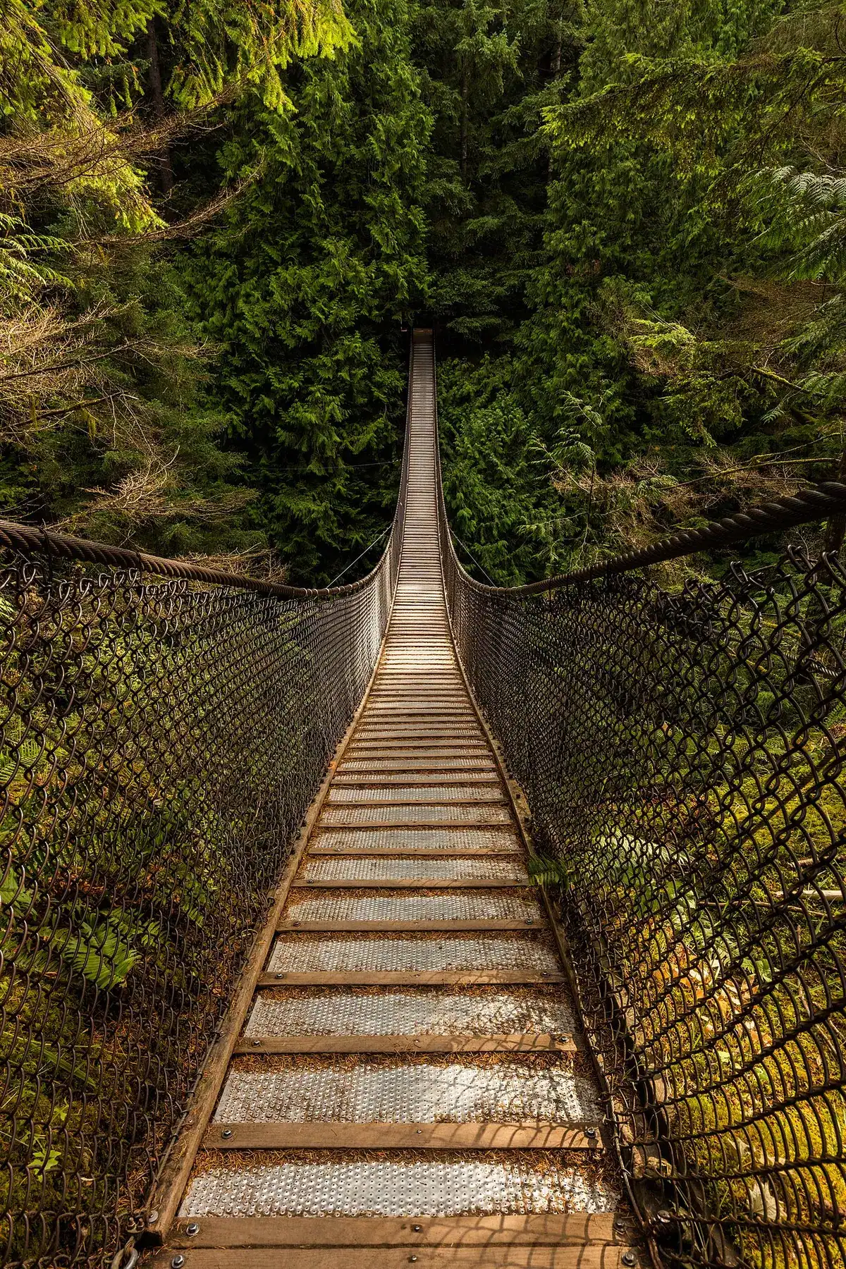 The Lynn Canyon suspension bridge over a densely forested gorge