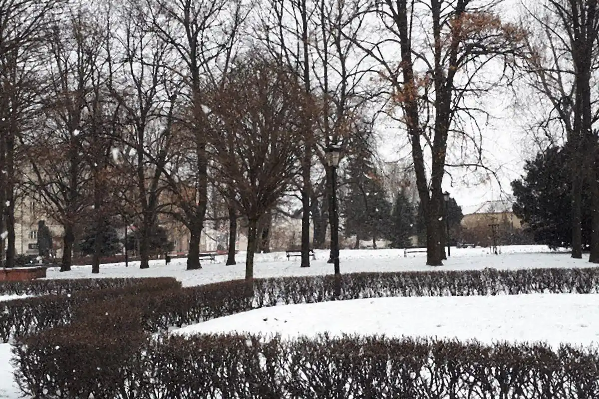 Snow falling between bare trees over white lawns in a Warsaw park.