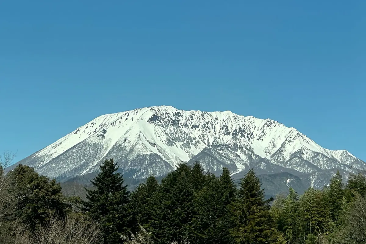 The snow-covered ridges of Mt. Daisen rise above a dark conifer forest under a clear blue sky.