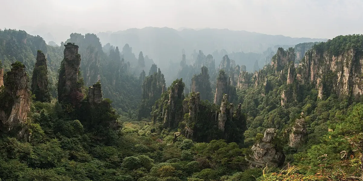 A forest of sandstone pillars seen from Tianzi Mountain