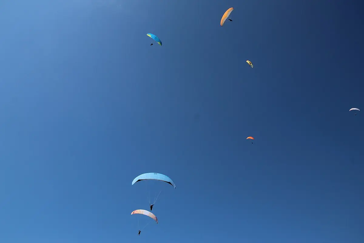 Several paragliders flying against a clear blue sky.